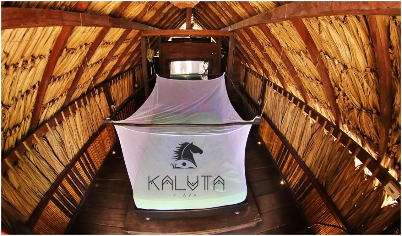Kaluta Palomino Exterior photo